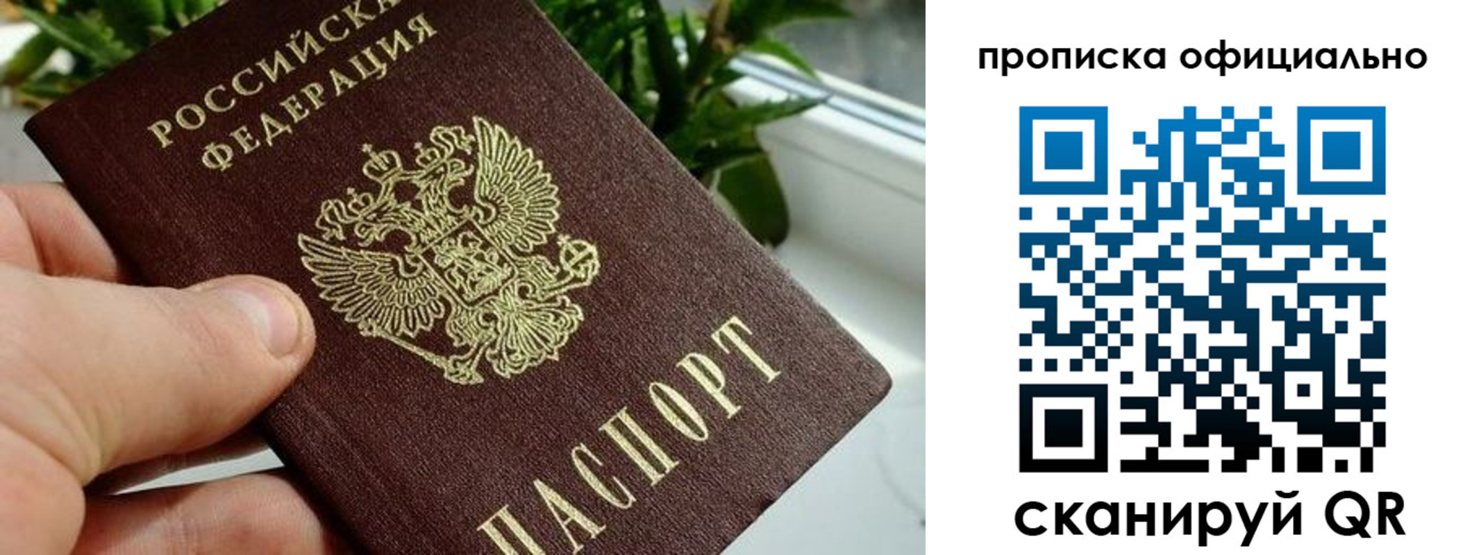 прописка поиск в Карачаевске